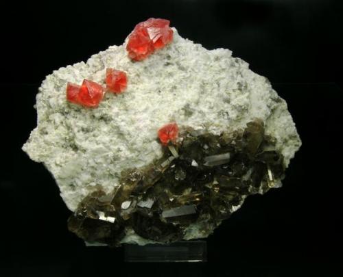 Octahedral Fluorite on Albite matrix with Smoky Quartz. (2001) Pointe Kurz (3600 m altitude) Haute-Savoie, France. Size 19x 15.5 x 9 cm. 
Specimen & Photo: Fabre Minerals (Author: Joan Rosell)