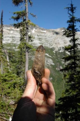 Large smoky phantom crystal I found at my clearview claim Passmore BC (Author: thecrystalfinder)