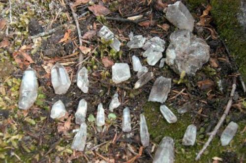 a pile of clear quartz crystals from one pocket, some pockets contain clear quartz crystals some smoky and some amethyst and some pockets contain all three varietys in one (Author: thecrystalfinder)