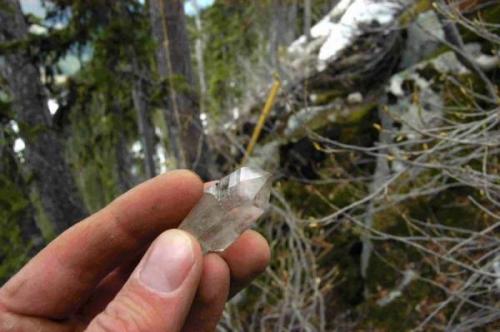 a clear quartz crystal, clearview claim Passmore BC (Author: thecrystalfinder)
