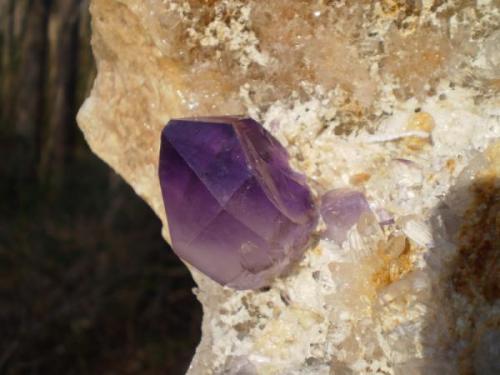 Good single crystal on a bed of druzy quartz. You can see on the right side where another crystal had grown up against it..I wonder where that one is...hmmmm (Author: Jason)