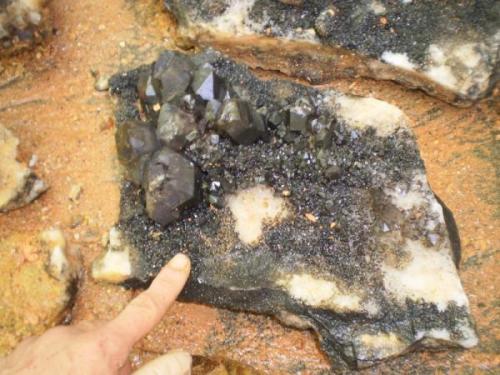 uncleaned/black managanese coating on crystals-finger for size comparison (Author: Jason)