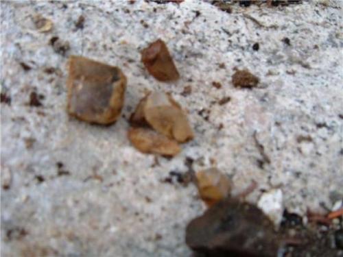 some small clear quartz crystals clearview claim Passmore BC (Author: thecrystalfinder)