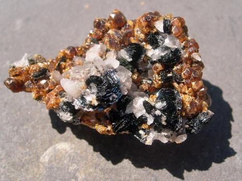 3 cm andradite-hematite-quartz piece (Author: Darren)