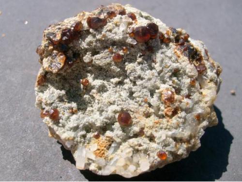 3 cm piece with small andradites (Author: Darren)