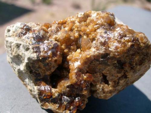 Nice golden-colored andradite on a 6 cm piece (Author: Darren)