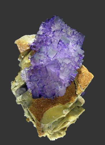 Fluorite
Tule Mine, Melchor Múzquiz, Coahuila, Mexico
Specimen size: 7.7 × 5.6 × 4.8 cm = 3.0” × 2.2” × 1.9”
Main crystal size: 2.5 × 2.2 cm = 1.0” × 0.9”
Photo: Reference Specimens -> http://www.fabreminerals.com/specimens/RSMEC-north-america-notable-specimens.php#TF56L5 (Author: Jordi Fabre)