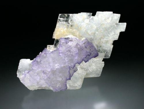 fluorite on celestite, Mina El Tule, Coahuila, Mexico (Author: Jesse Fisher)