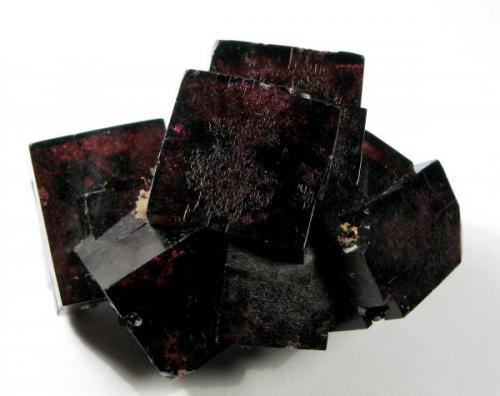 dark purple, almost black appearing Fluorite crystals up to 1.6 cm, Bergmännisch Glück Flacher vein, Frohnau (Author: Thomas Uhlig)