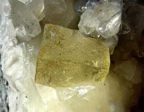 Fluorite, 2 cm crystal, on Calcite (Author: Harjo)