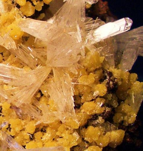 Hemimorphite and Mimetite, detail of the above. Field of veiw is 1" (25.4cm) (Author: Jim Prentiss)