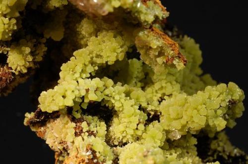 Mimetite<br />Ojuela Mine, Mapimí, Municipio Mapimí, Durango, Mexico<br />Field of view is approximately 3 cm. wide<br /> (Author: crosstimber)