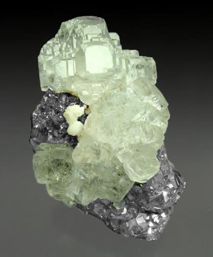 Fluorite with Galena, Arsenopyrite and Calcite
Naica mining area, Saucillo, Chihuahua, Mexico
Mined about 1980
Specimen size: 7.7 × 5.5 × 4.1 cm.
Main crystal size: 3.5 × 2.9 cm.
Former Jan Buma collection. Number 020801
Photo: Reference Specimens -> http://www.fabreminerals.com/specimens/RSBUM-buma-notable-specimens.php#FD29H0 (Author: Jordi Fabre)