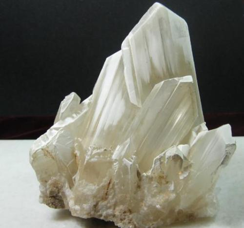 Gypsum (Var: Selenite)
Laguna del Rey in Coahuila, about 250km east of Naica.
13 x 11 cm (main crystal measuring 10 cm). From my personal collection (Author: Antonio Alcaide)