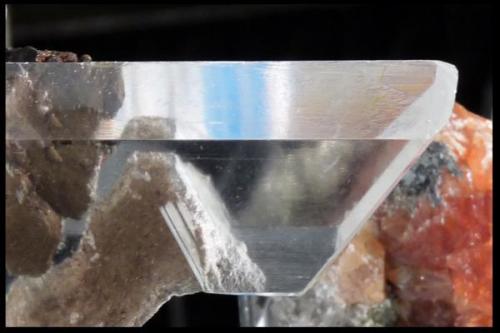 Gypsum
Upper oxide levels, Naica Mine, Naica, Municipio de Saucillo, Chihuahua, Mexico
Crystal size: 15 x 2 cm.
Former James Catmur collection
Photo: Joan Rosell (Author: Jordi Fabre)