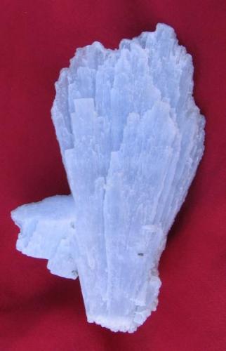Anhydrite crystal 12 cm long. Naica Mine (Author: Peter Megaw)