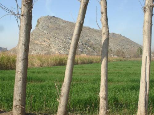 Pink topaz locality Katlang Ghundao hill , District Mardan , Pakistan (Author: ikram)