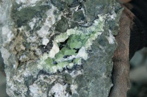 Prehnite and babingtonite. (Author: vic rzonca)