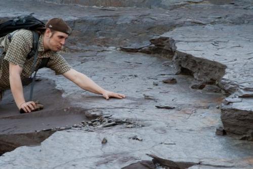 View of some of the dinosaur track ways in situ. The siltstone is at about 30 degrees to the horizontal. My comrade is for scale. (Author: vic rzonca)