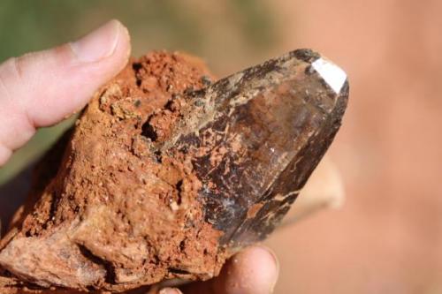 We settled in at the lowest part of the construction site, a small bit of mica on the top layer of dirt prompted me to scrape the surface in search of a fissure beneath.
Clank!  My mattock scraped and ricocheted off of a large quartz filled fissure about 10cm in width.  Further, scraping revealed the length of the fissure at roughly one
meter.  Excited, I commenced to excavating the fissure.  Through the
whole length of the fissure I found mainly garbage quartz until out of nowhere this crystal (above) popped out next to the mattock.  Words can’t explain how it feels to find something this rare and beautiful, so I will have to leave it to you and your own experiences to relate. (Author: Scott LaBorde)