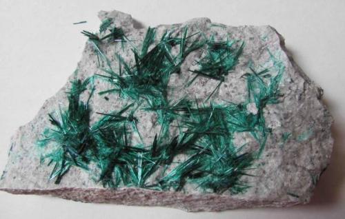 brochantite plate...plain (Author: Peter Megaw)