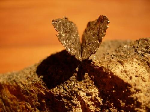 Graphite in the shape of a butterfly (Author: Glenn Rhein)