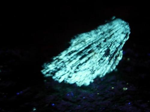 Tremolite sw uv (Author: Glenn Rhein)