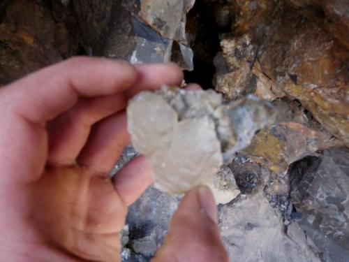 opening the calcite pocket with first crystal to come out (Author: thecrystalfinder)