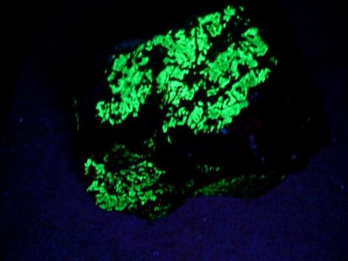 green fluorescent 003.JPG (Author: Glenn Rhein)