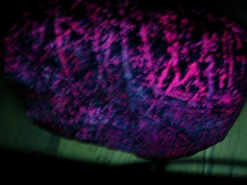 fluorescents 3 27 012.JPG (Author: Glenn Rhein)