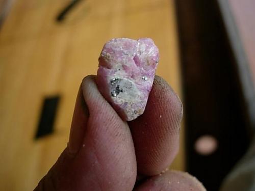 corundum
Amity NY
16 mm (Author: Glenn Rhein)