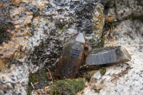 smoky quartz crystal clearview claim (Author: thecrystalfinder)