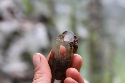 smoky quartz crystal clearview claim (Author: thecrystalfinder)