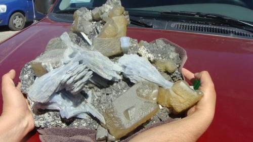 Anhydrite on Calcite and fluorite
Mantos Mixtos, 700-760 Level Naica Mine, Naica, Chihuahua, Mexico
30 cm
Massive plate of golden calcite crystals (on smaller fluorite) with 10 cm anhydrite crystals.  (Brother to a piece posted earlier by javmex).  Piece now in collection of New Mexico Tech (Author: Peter Megaw)