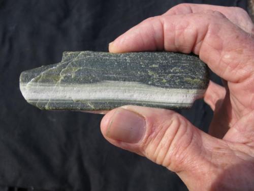 Ricolite (Serpentine)
30 miles north of Lordsburg, New Mexico
2 X 5 inches (Author: Rich Loose)