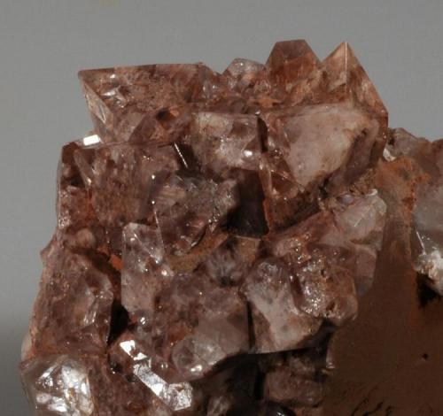 Calcite, apophyllite
Onion River roadcut, Lutsen Township, Cook County, Minnesota
3.5 X 3 X 3 cm
Close-up of apophyllite on calcite, apos are about 4 - 5 mm (Author: John Nash)