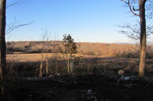 Looking NW from the bench (Author: vic rzonca)