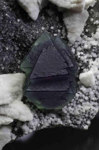 Fluorite
San Martin Mine, Municipio Sombrerete, Zacatecas, Mexico
crystal is 3 cm across
Color zoned octahedral fluorite.
Peter Megaw specimen (ex. Jesus Salinas); Jeff Scovil photograph (Author: Peter Megaw)