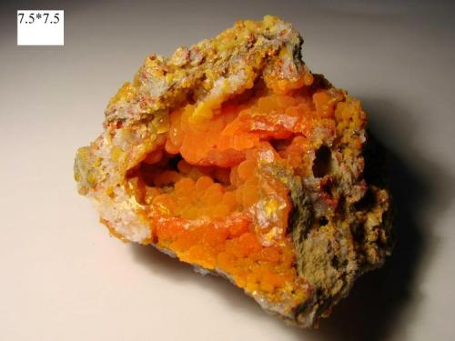 Mimetite
Chah mileh mine, Anarak city, Esfahan province, Iran
7.5 x 7.5 cm. (Author: pirirani)