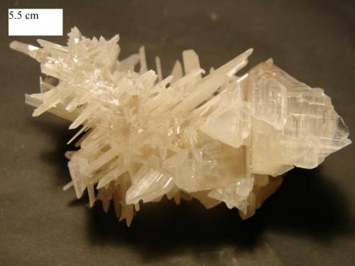 Cerussite
Nakhlak mine Esfahan province iran
5.5 cm. (Author: pirirani)