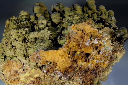 Mottramite with wulfenite
Level 35? or Lugar San Juan Poniente, Mina Ojuela, Mapimi, Durango, Mexico
14 x 9 x 8
Backside of the specimen photographed above. Shows two nice dipyramidal yellow wulfenites sticking out of the limonitic matrix. (Author: Jean Sendero)