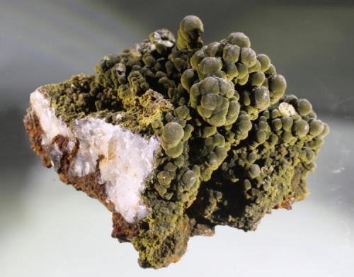 Mottramite on quartz matrix
Level 35, América Poniente? or Lugar San Juan Poniente, Mina Ojuela, Mapimi, Durango, Mexico
9 x 8 x 8 cm
Same specimen than above but trimmed a little. (Author: Jean Sendero)