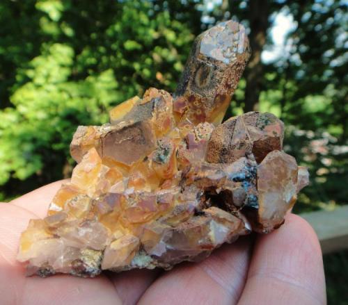 Quartz with Hematite + Golden/Clear Rutile
Lake Bonaparte State Forest, Lewis Co., New York, USA
70 x 61 x 49 in mm.
Such a colorful specimen, This one features the largest single point found at this location. (Author: NYFineMineralExchange)