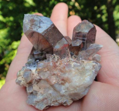 Quartz with Hematite + Golden/Clear Rutile
Lake Bonaparte State Forest
58 x 53 x 50 in MM (Author: NYFineMineralExchange)