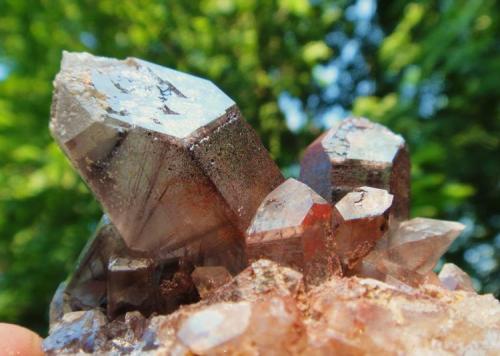 Quartz with Hematite + Golden/Clear Rutile
Lake Bonaparte State Forest
58 x 53 x 50 in MM
Rutile clearly visable is black / dark red in this specimen, color varies from specimen to specimen. (Author: NYFineMineralExchange)