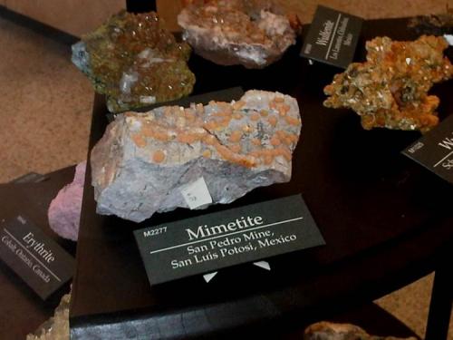 Mimetite
San Pedro Mine, San Luis Potosi, Mexico
App 8 cm across
Photo taken with BlackBerry. (Author: Jean Sendero)