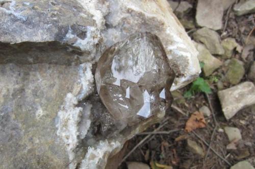 15 cm. quartz on dolostone, freshly mined with a quick cleaning. (Author: vic rzonca)