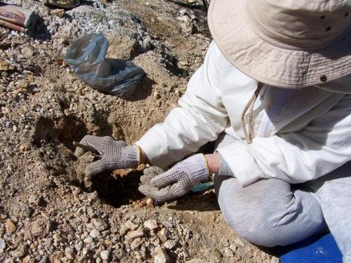 Quartz
Western Cape, Ceres
n/a
Close up of Riana in action (Author: Pierre Joubert)