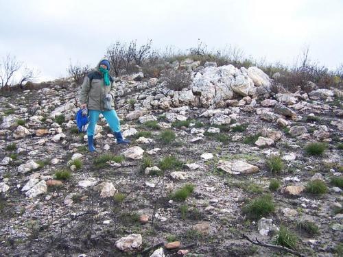 Riana at another quartz outcrop. (Author: Pierre Joubert)