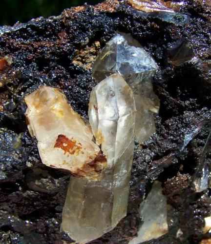 Manganese ore?and quartz
Ceres, Western Cape, SA
The same specimen as above. (Author: Pierre Joubert)